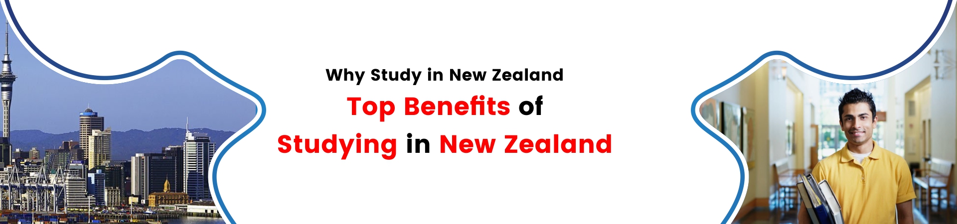 Why Study in New Zealand: Top Benefits of Studying in New Zealand