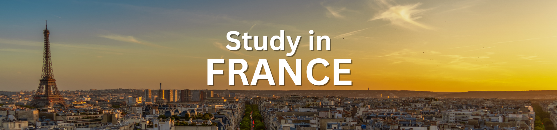 Study in France: A Comprehensive Guide for Indian Students