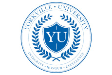 York University - Toronto
